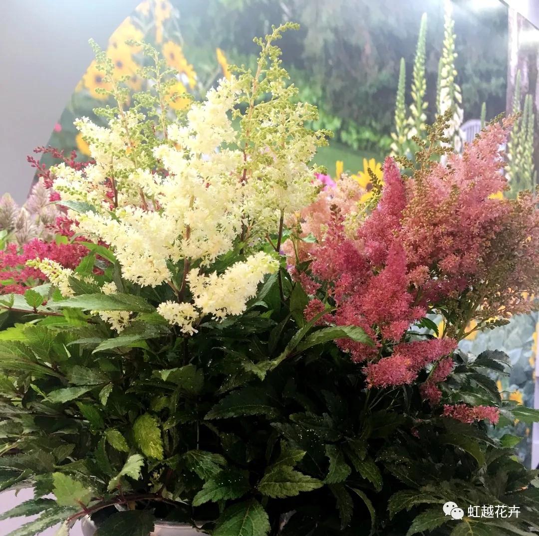 微信图片_20200501132459.jpg