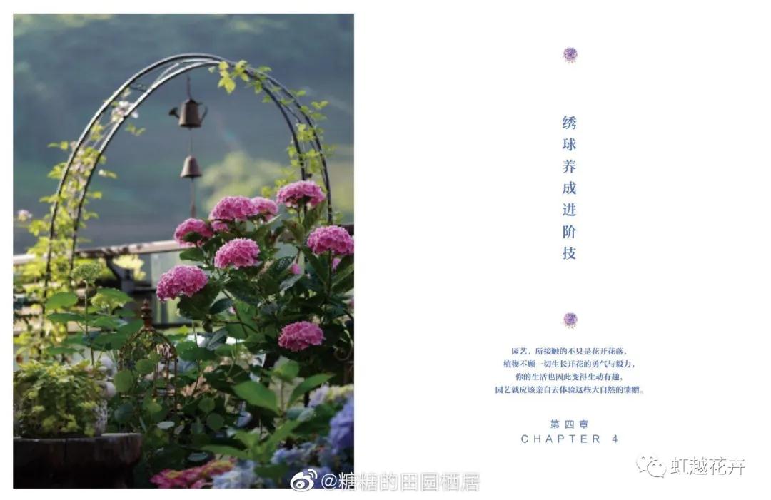 微信图片_20200501144355.jpg
